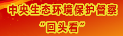 中央環保督察